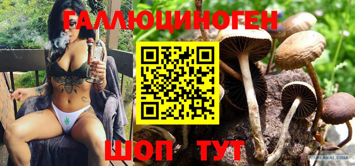 Псилоцибиновые грибы GOLDEN TEACHER Малоярославец